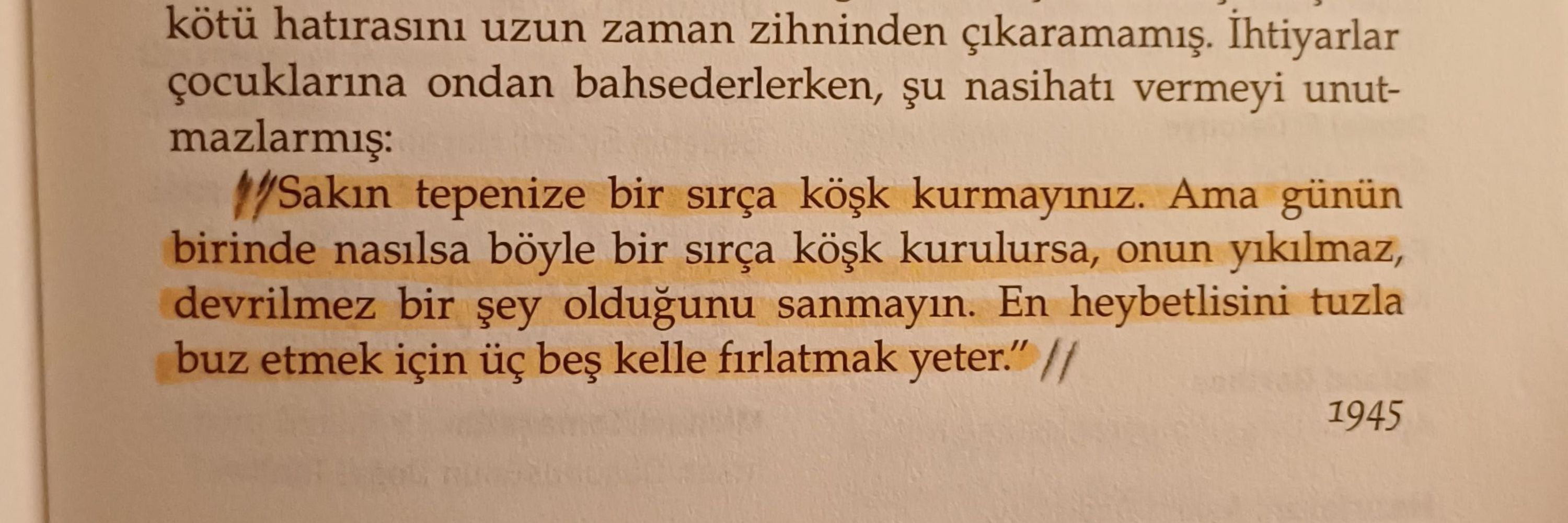 Didem