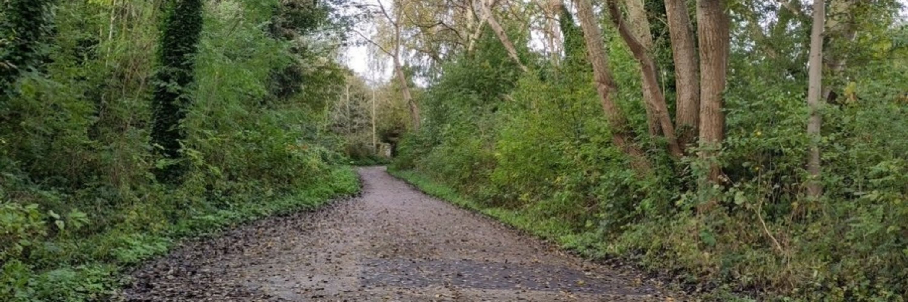Friends of the Fallowfield Loop