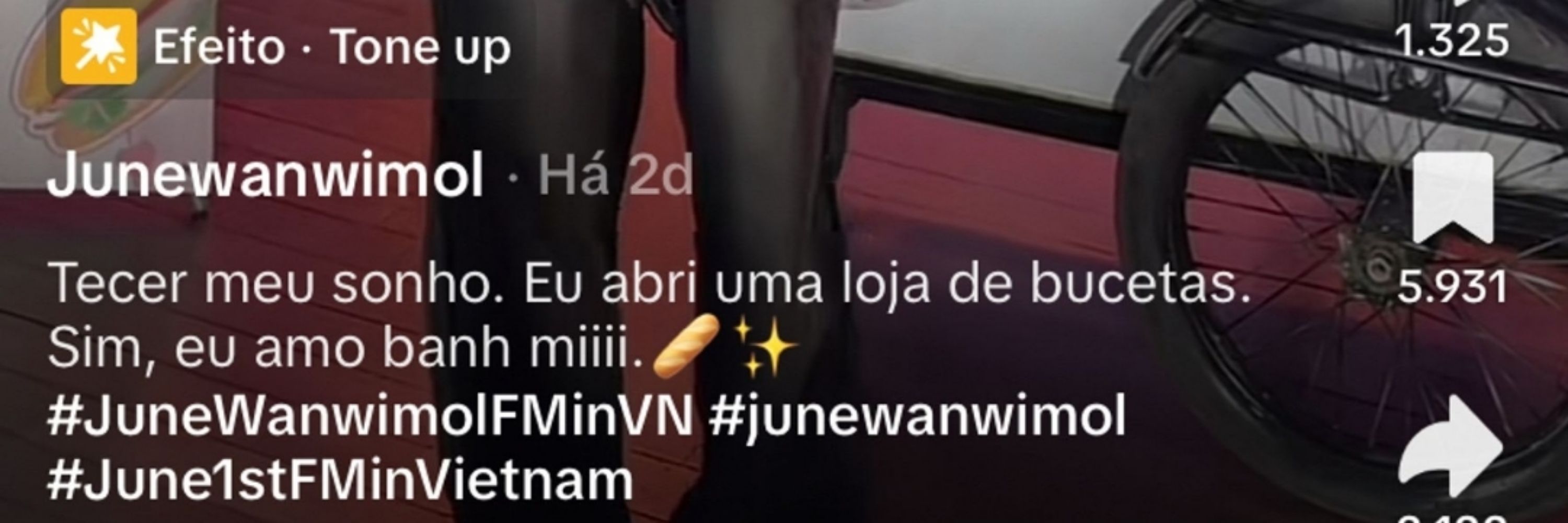 Jindorii _ viuva de wanpleng
