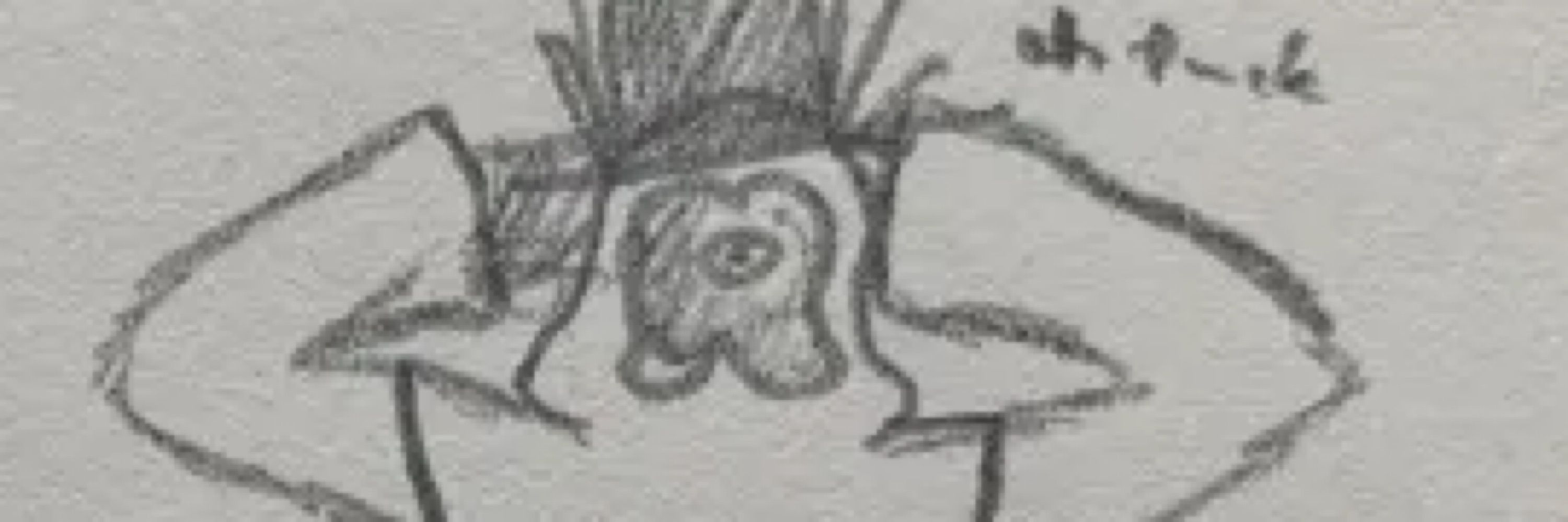 krald
