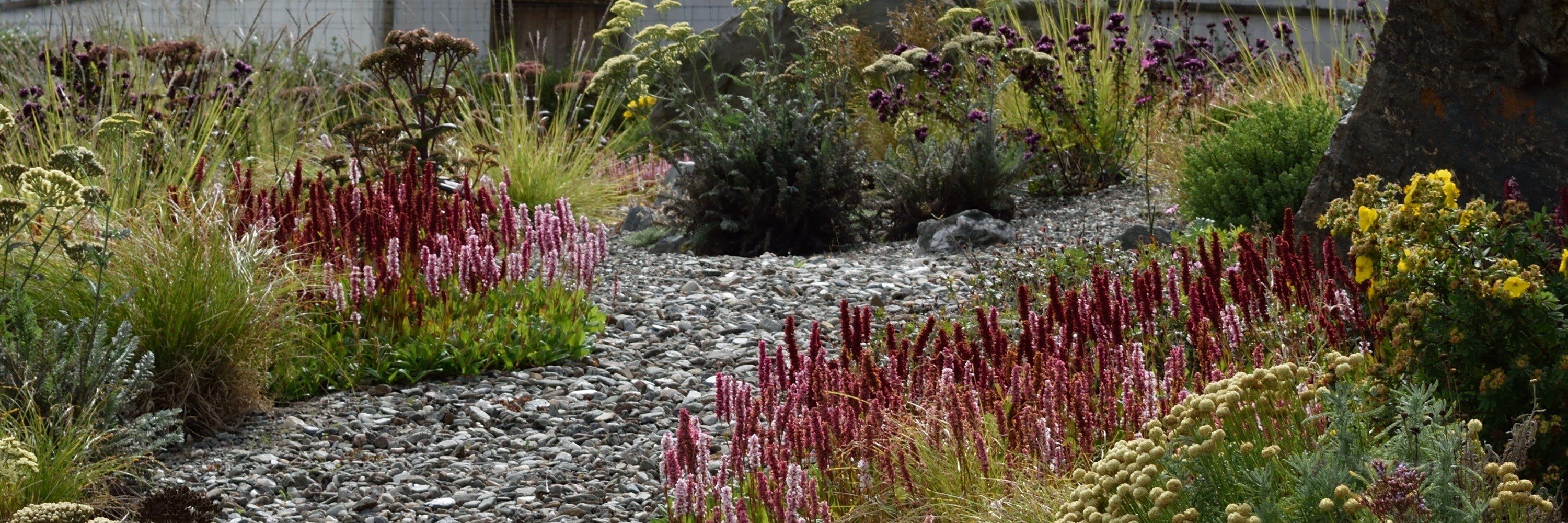Rachel Bailey Garden Design Studio