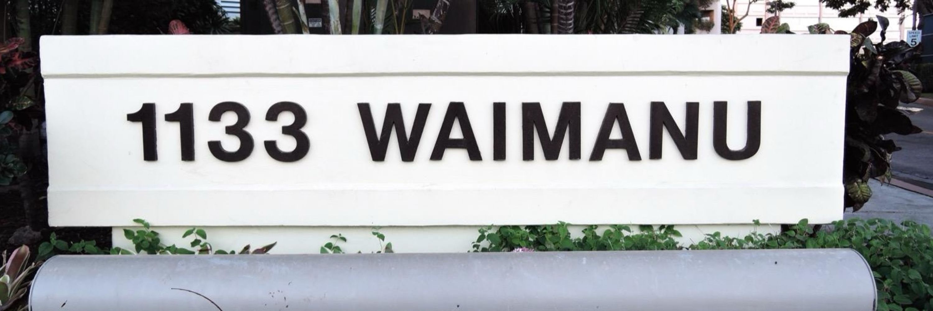 1133 Waimanu