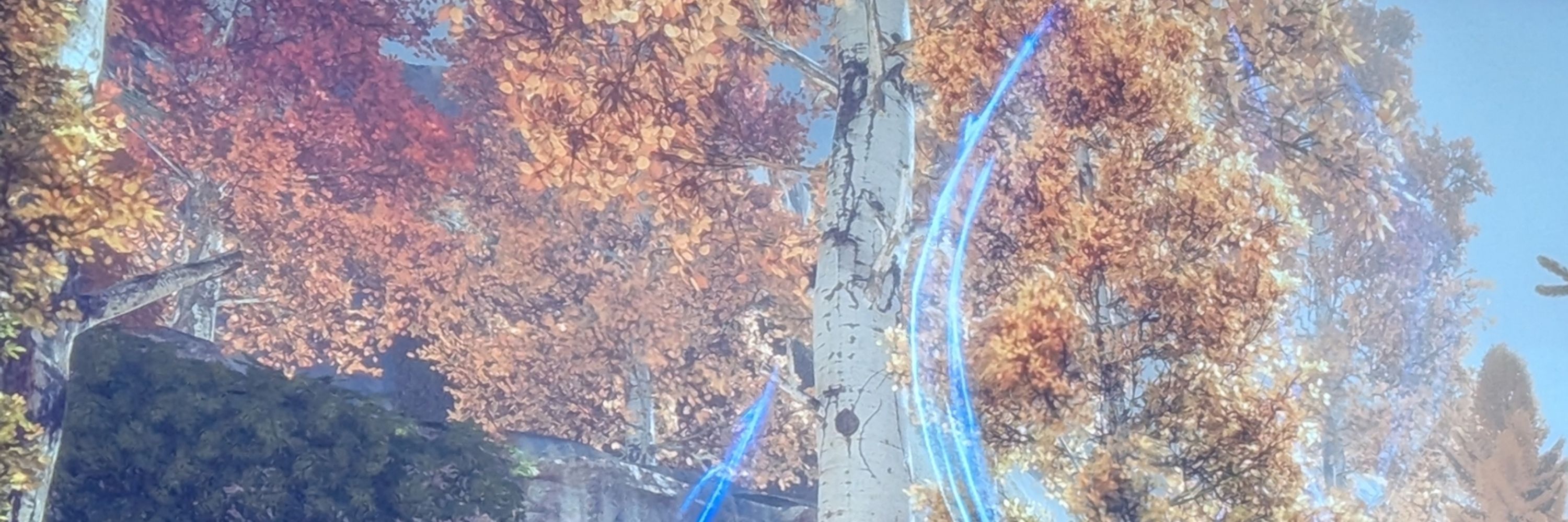 Kav