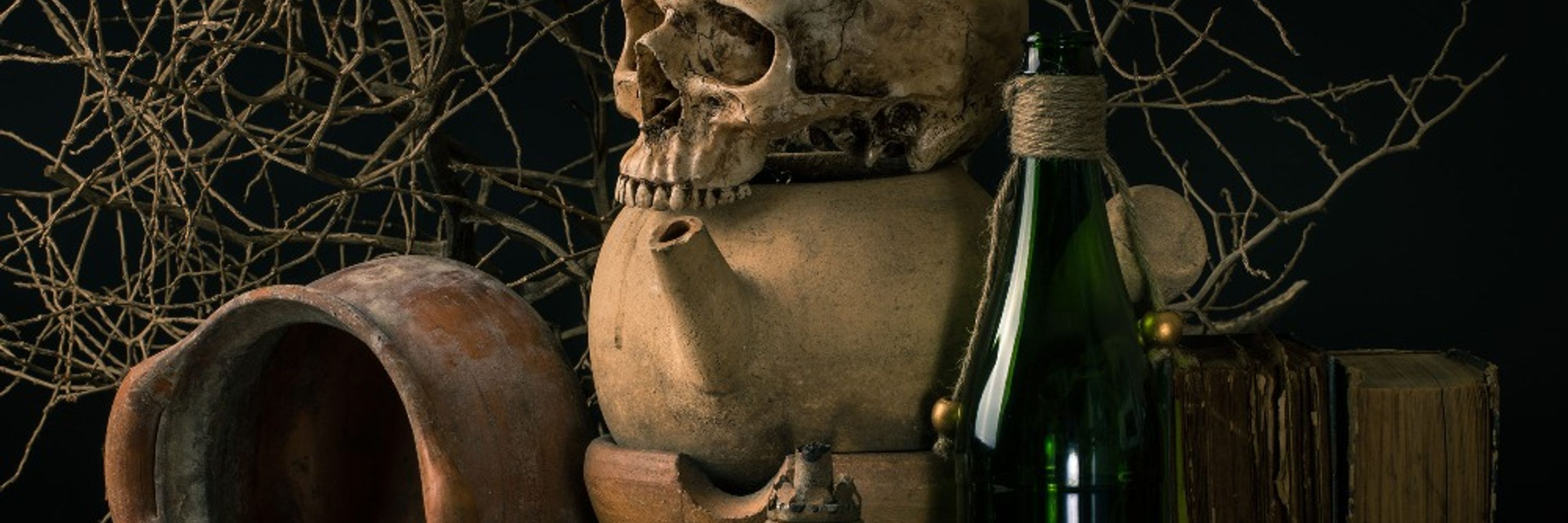 Gallery of Curiosities 