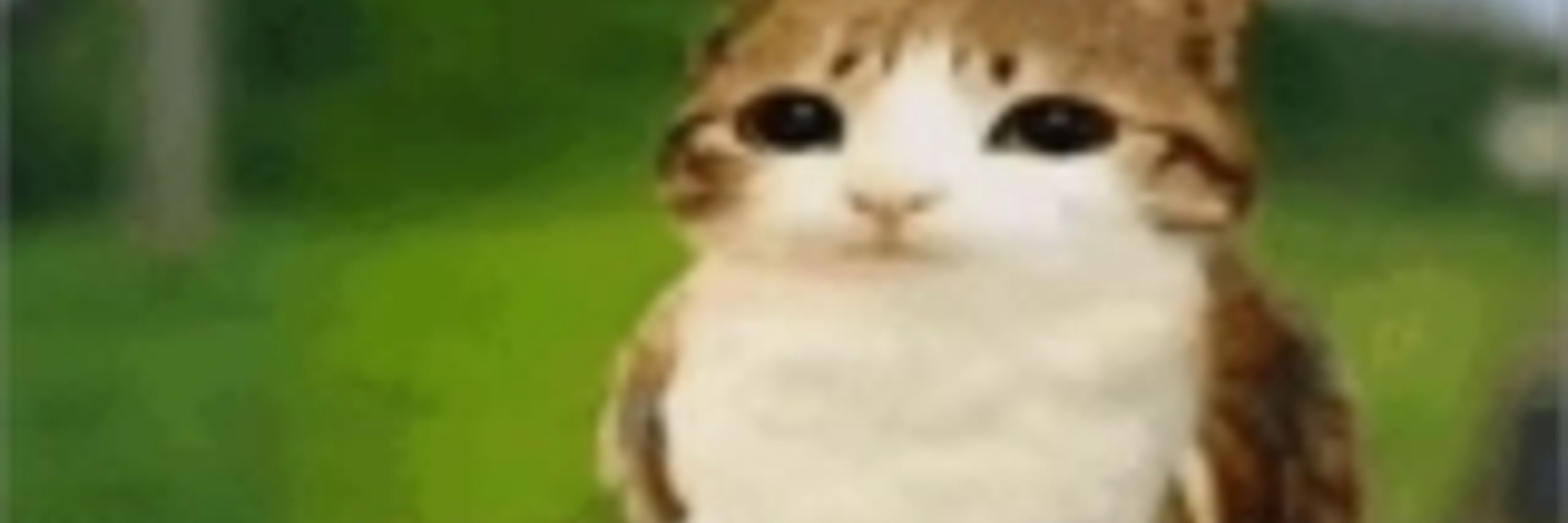 bup