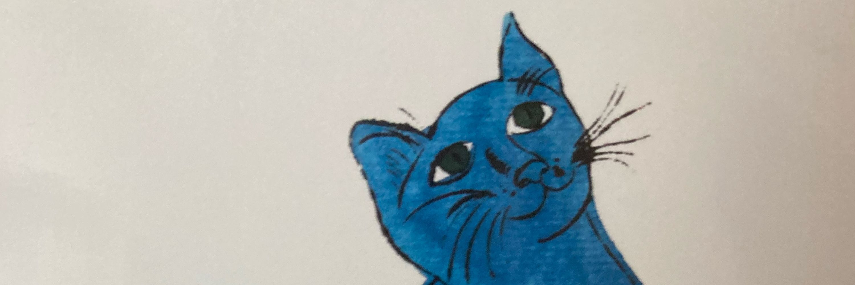 空色猫
