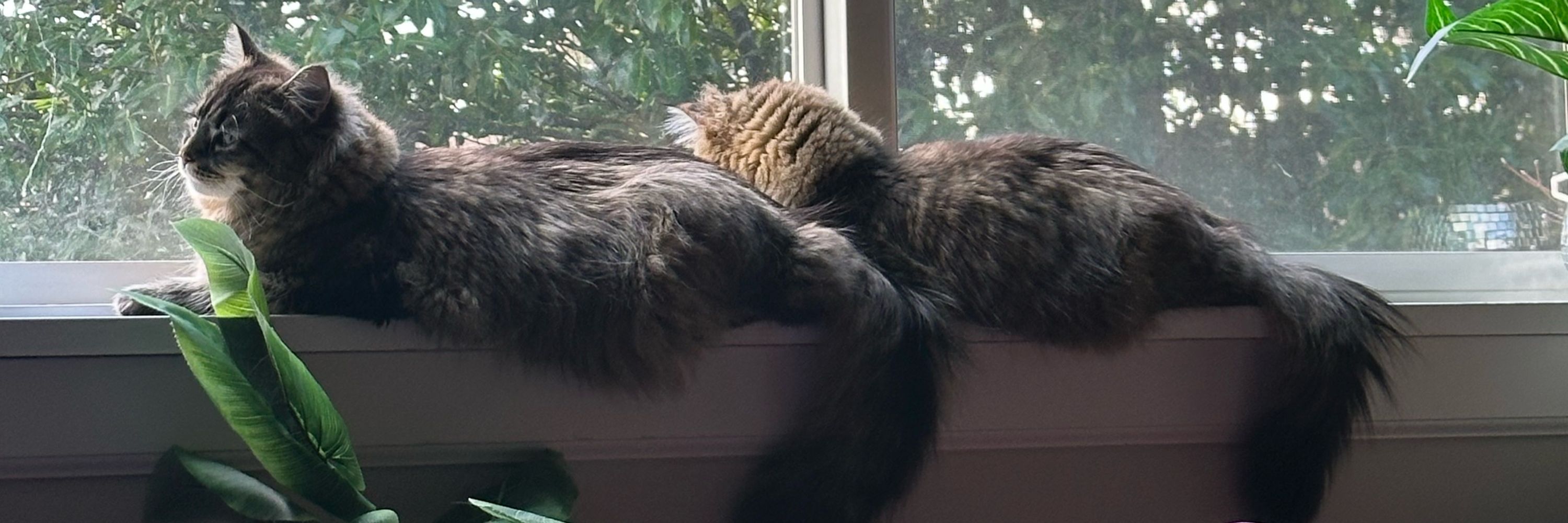 Sissy & Mina