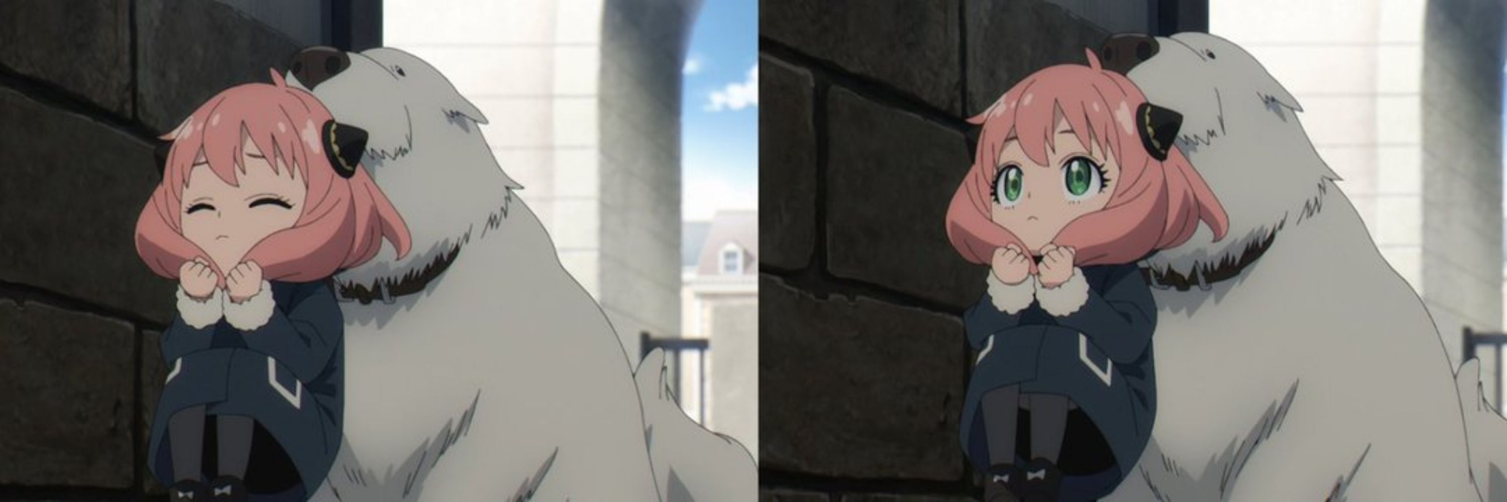 Sakurasbbdaddy 