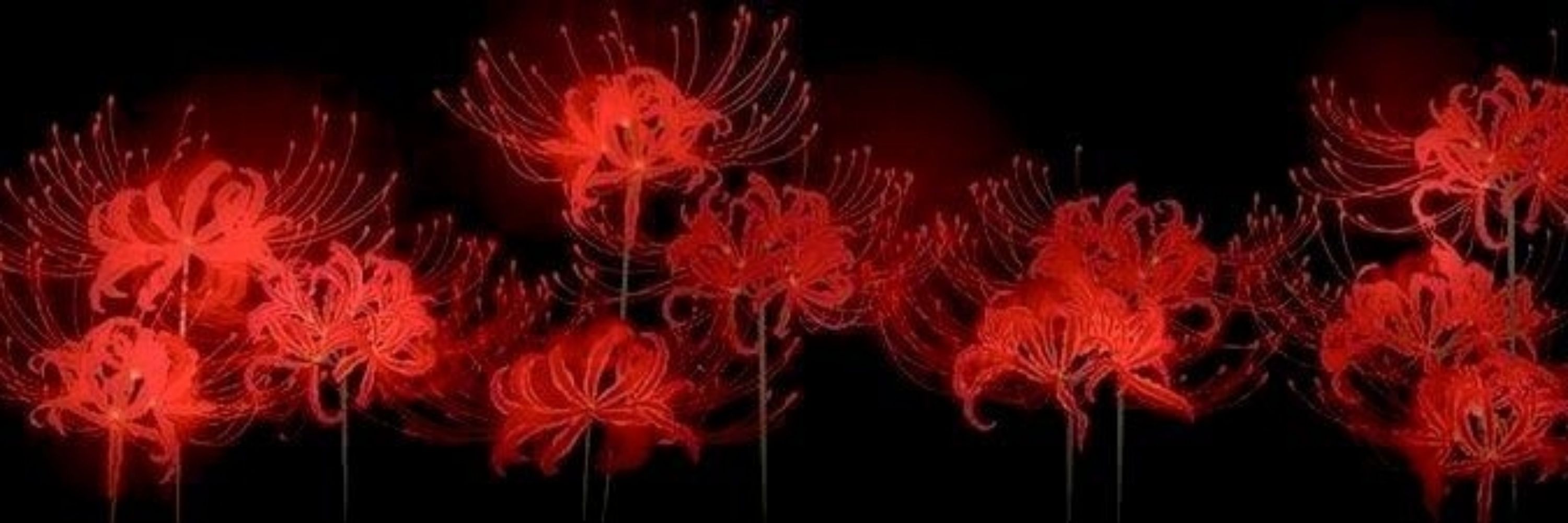 ~GoFlower~