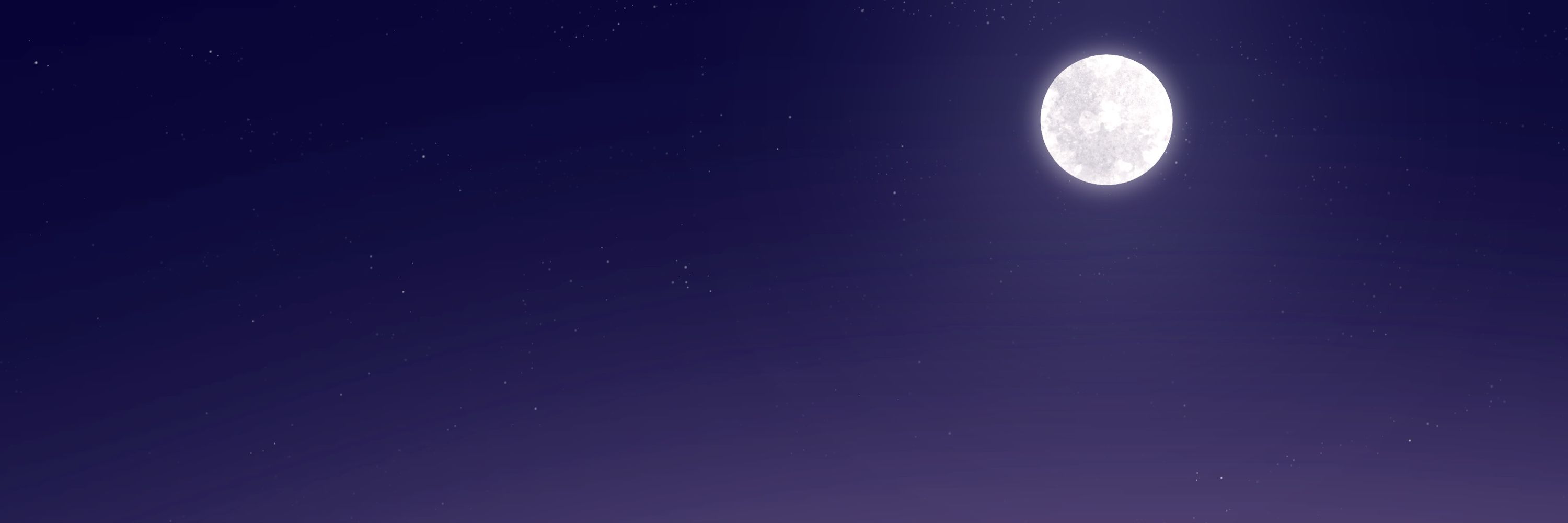 🌙✨