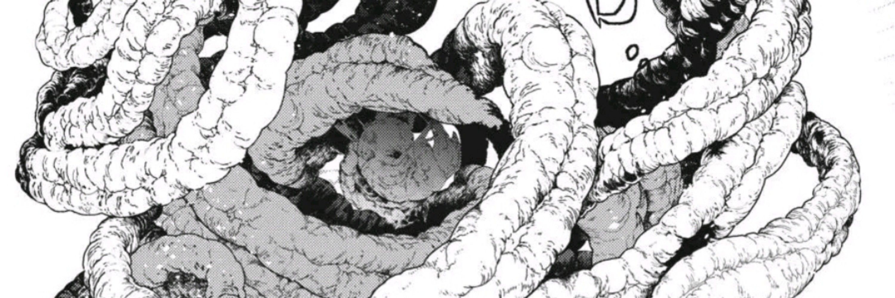 𝕮𝖚𝖆𝖗𝖎𝖔𝖚𝖘  🩸