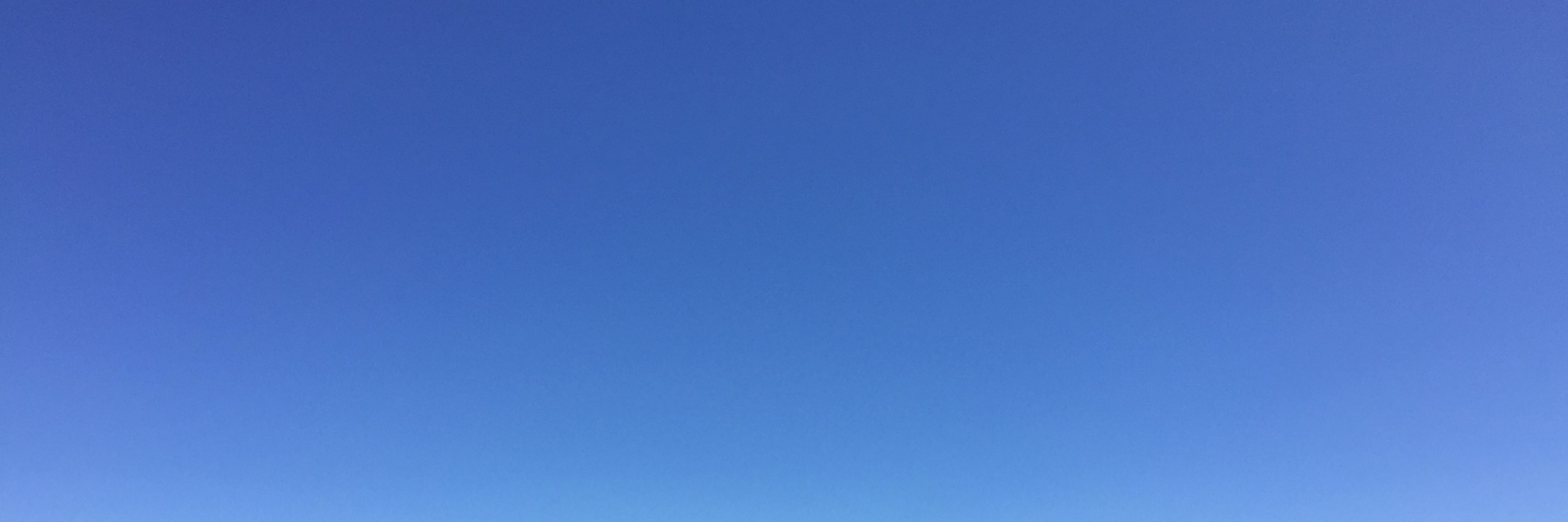 たぬき野郎