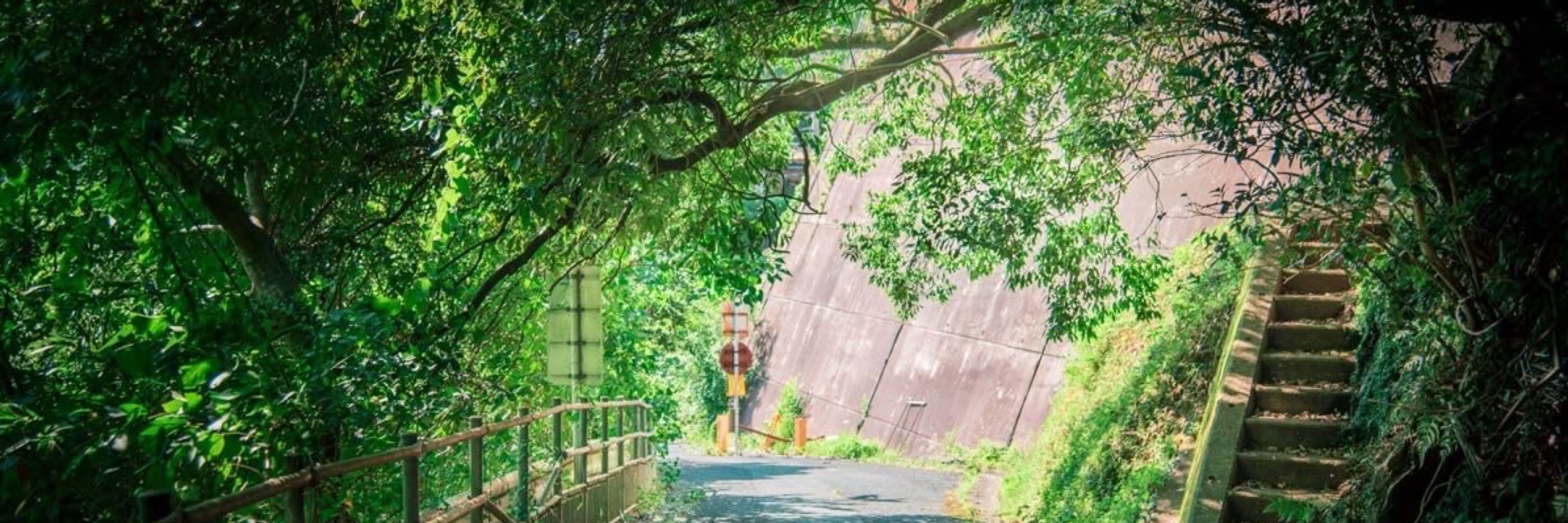 Hayashi Riku🍵 | 1-B