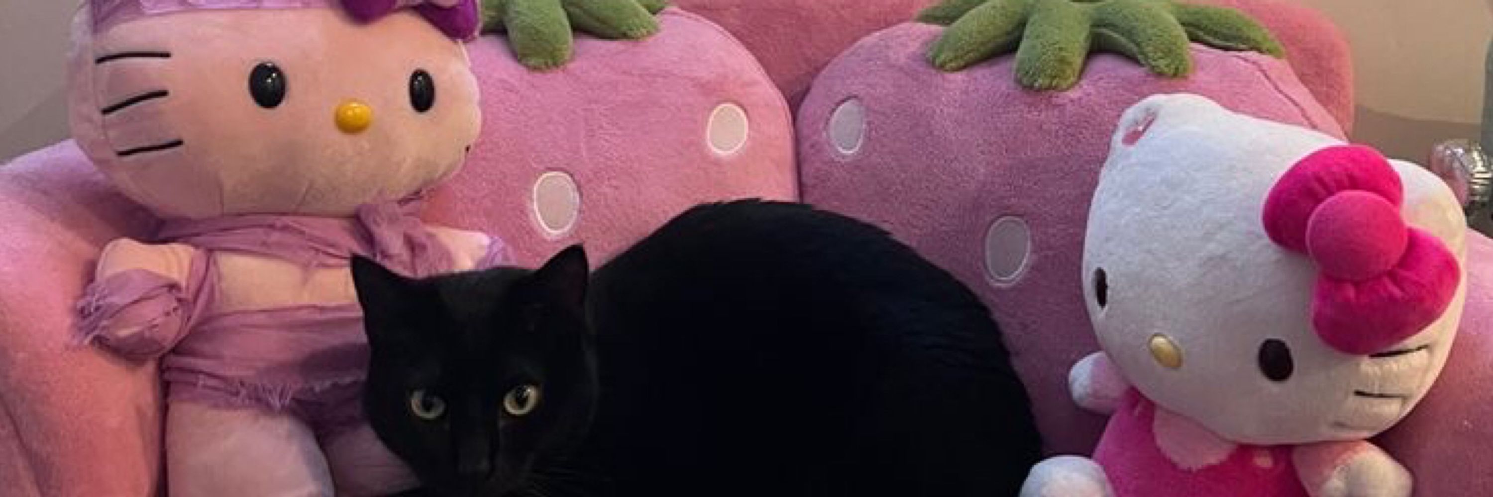 ♡