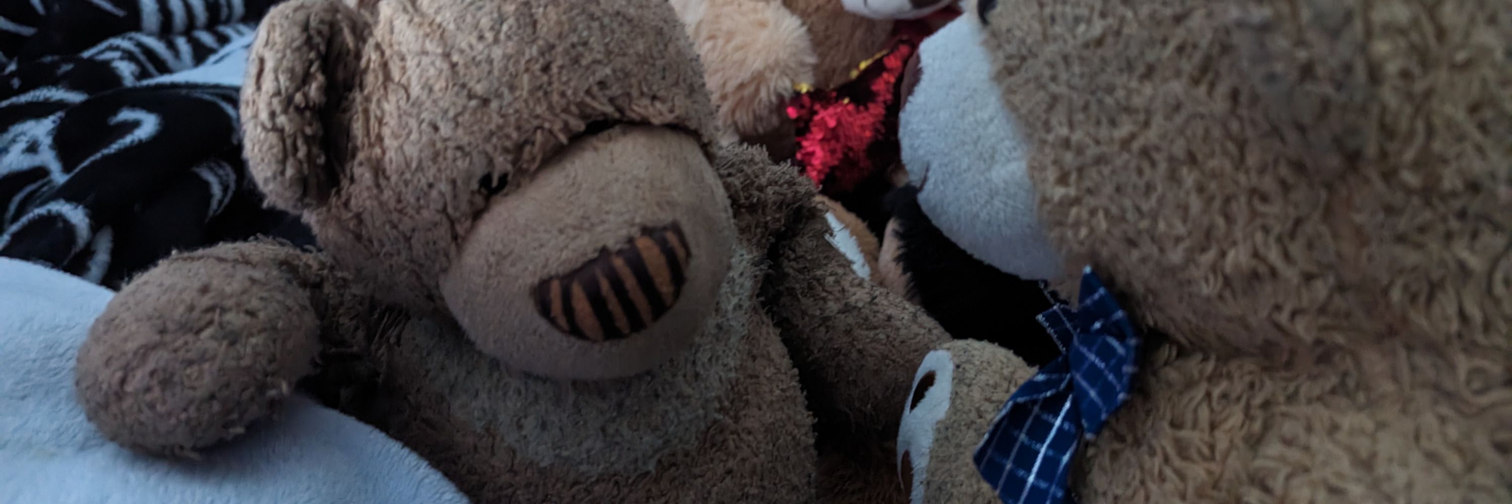 Ossington the Bear