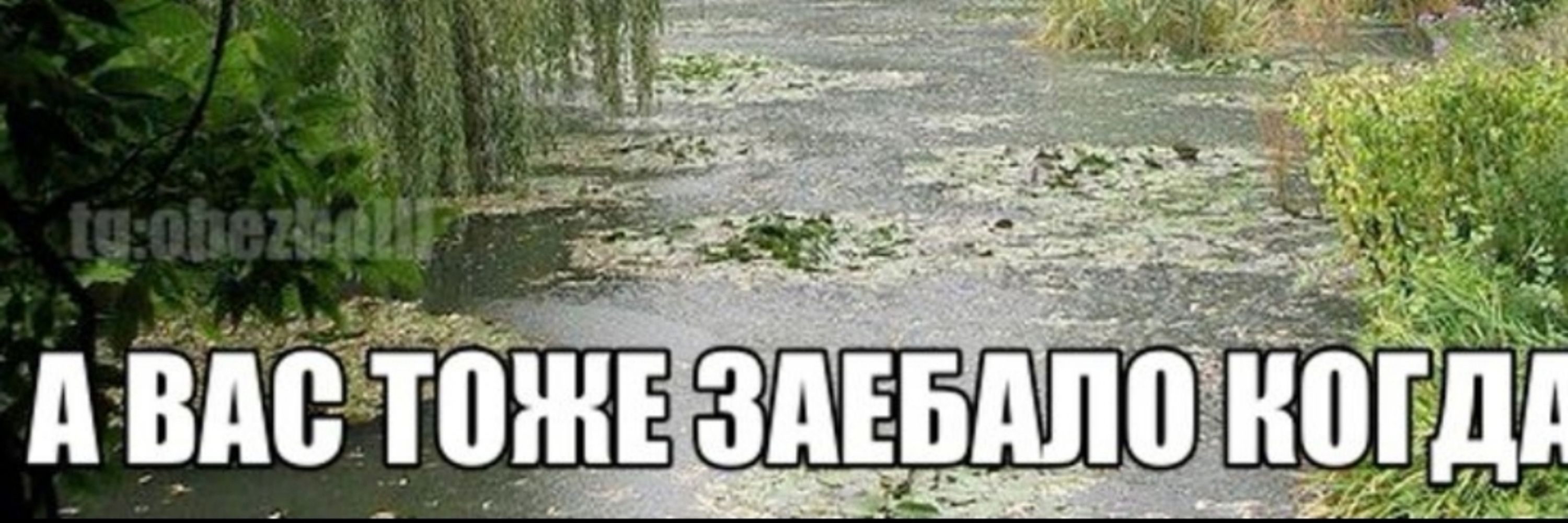 которая кёв