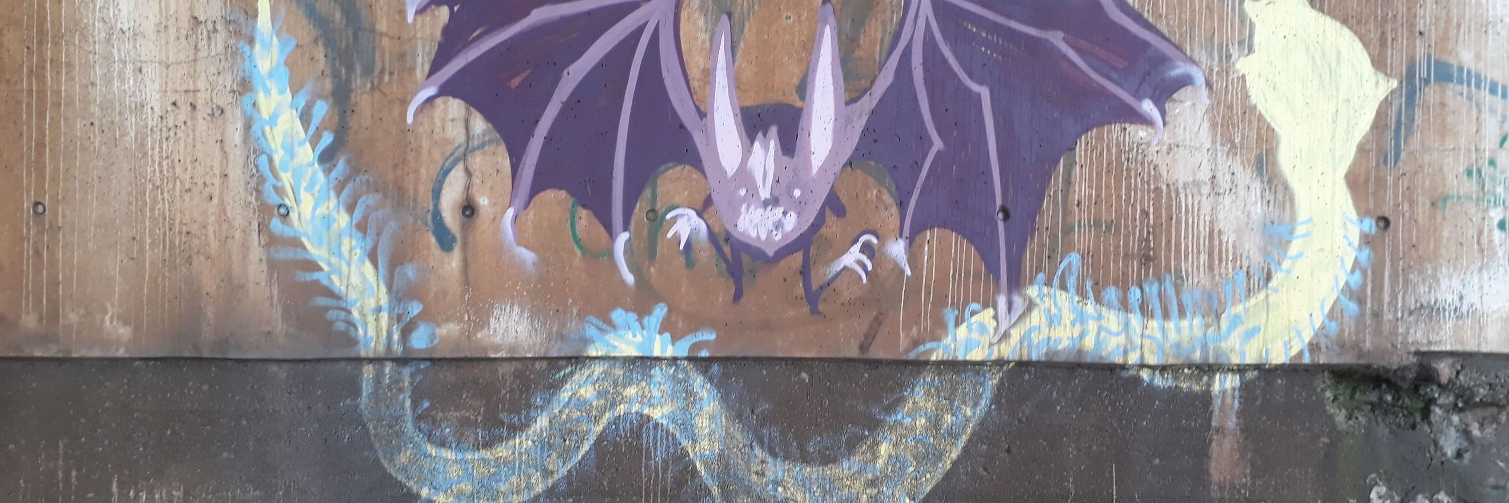 🦇 Pipistrello 🦇