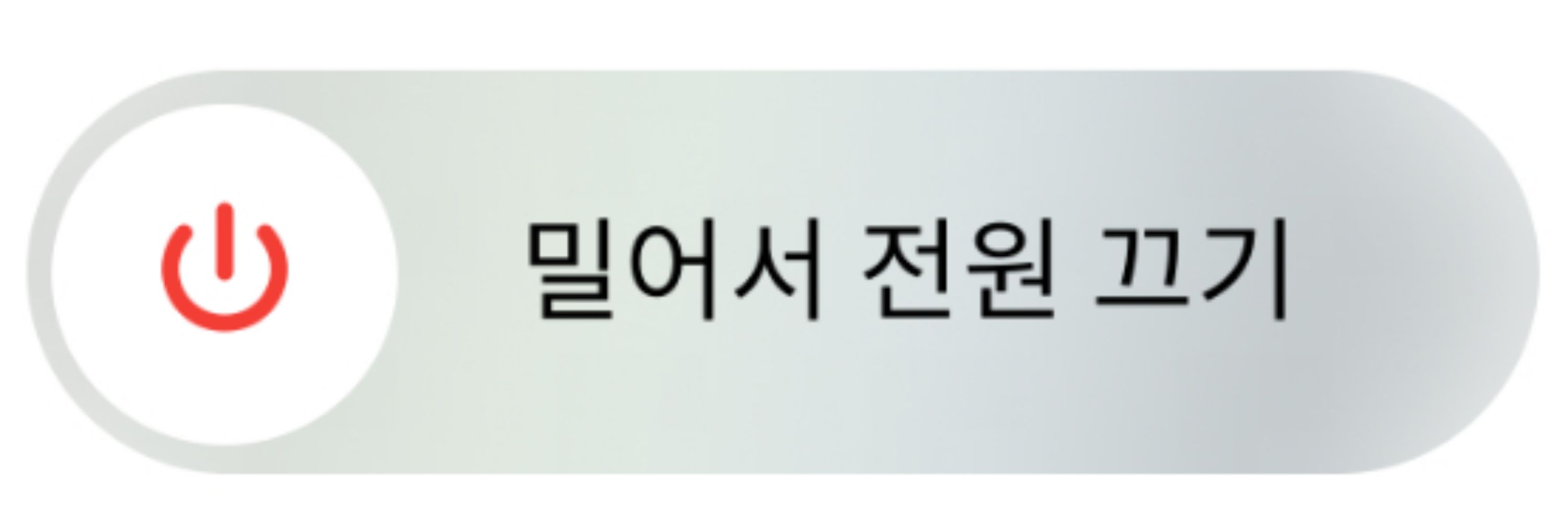 새앙