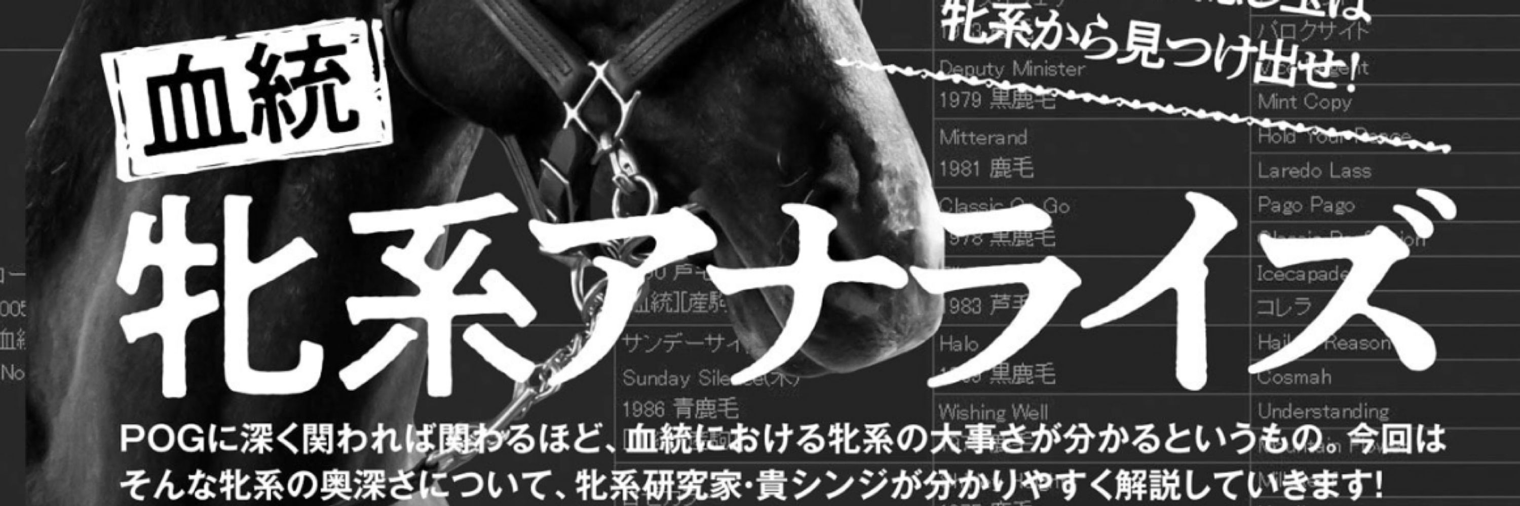 貴シンジ