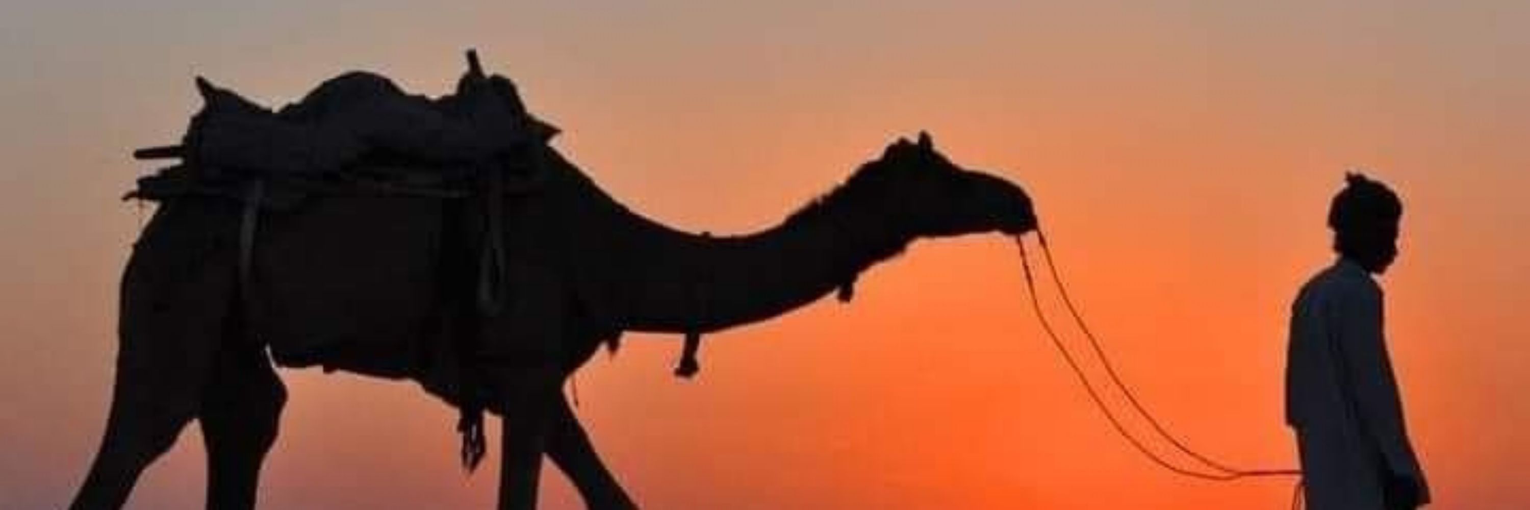Mudassar Mushtaq 🇵🇰