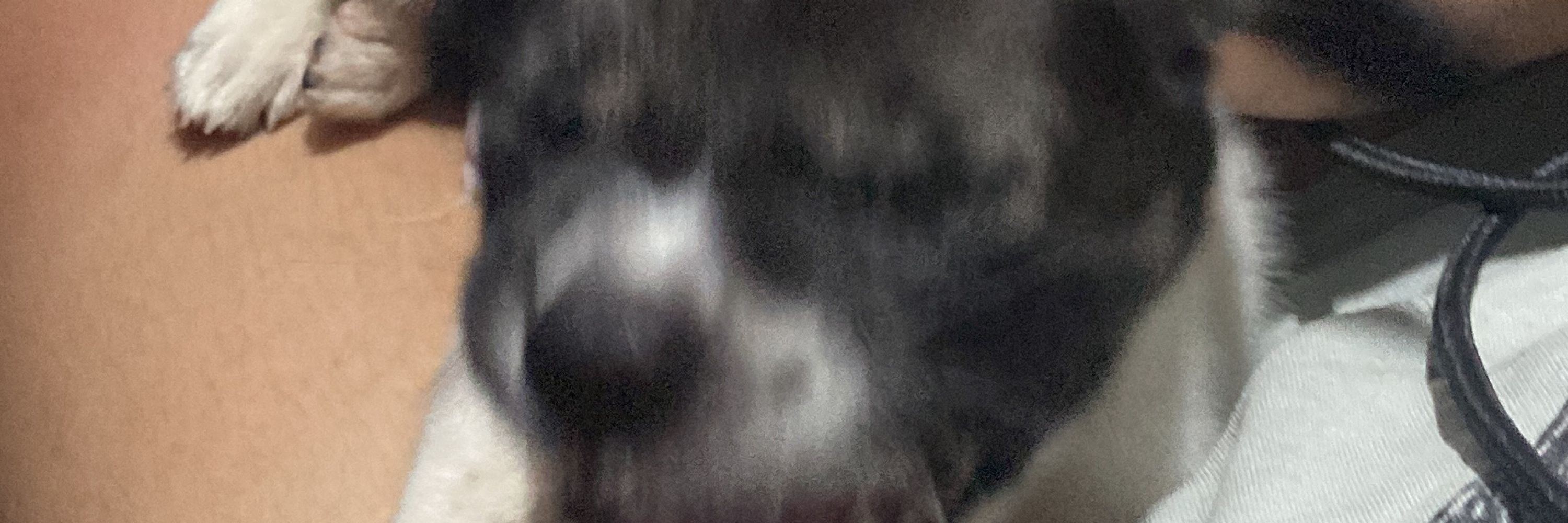Airizz 👁️👄👁️