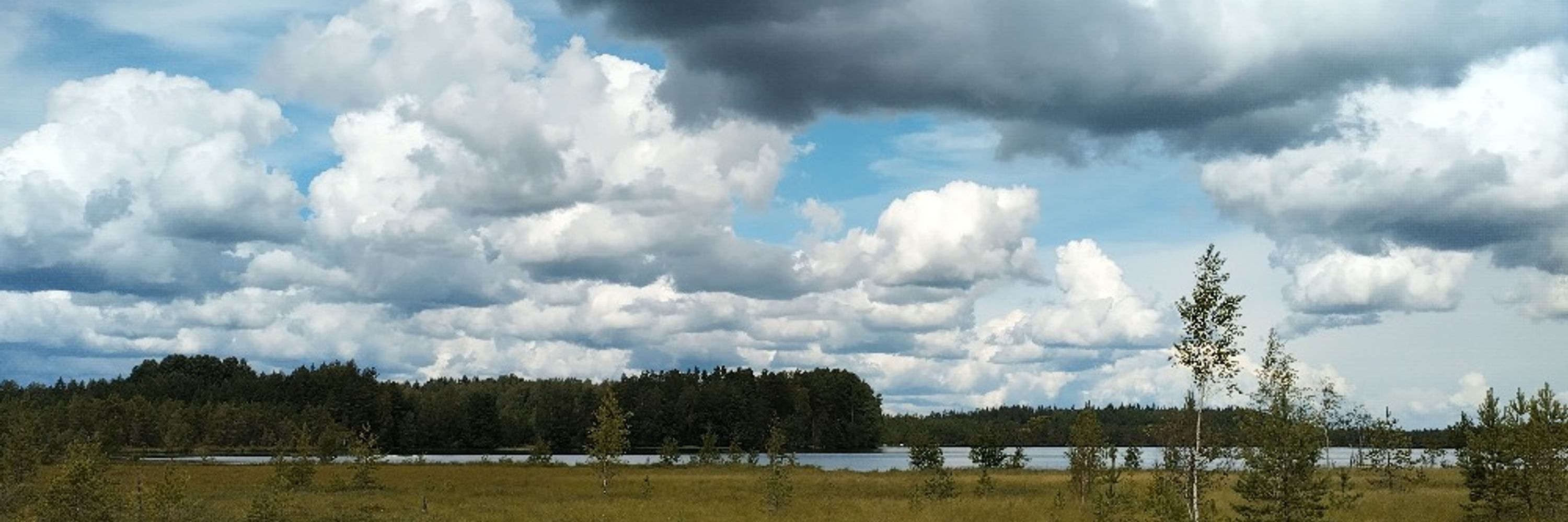 Joel Rouvinen