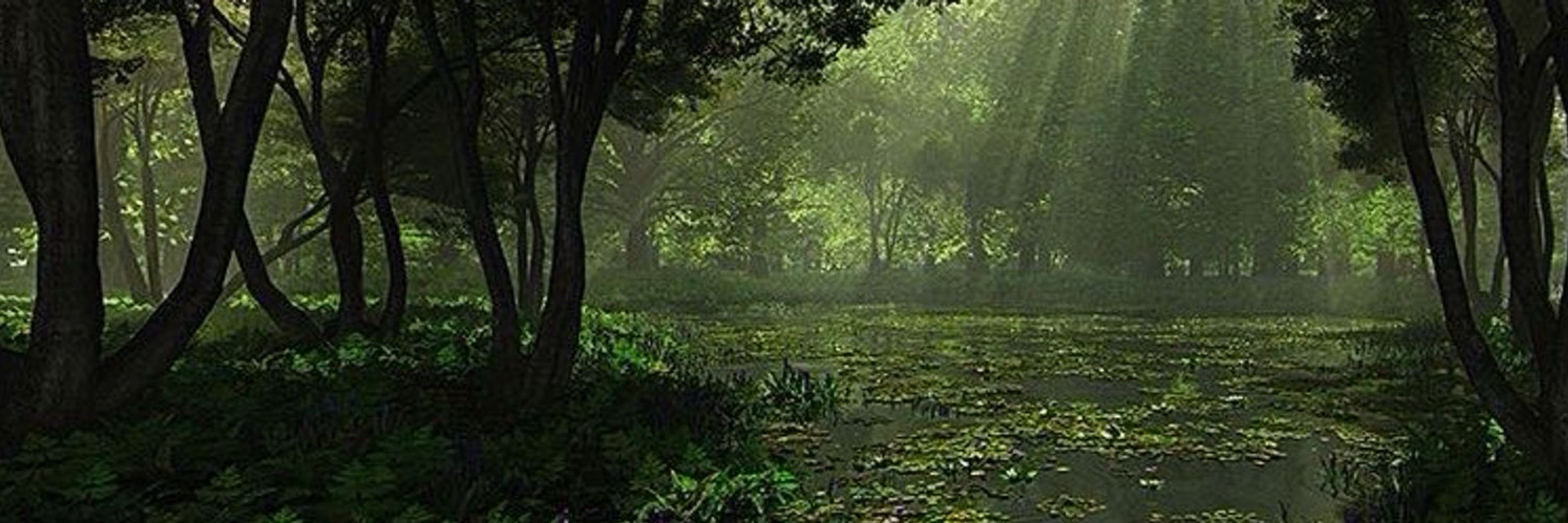 𝙳𝚁𝚄𝙸𝙳 🍃