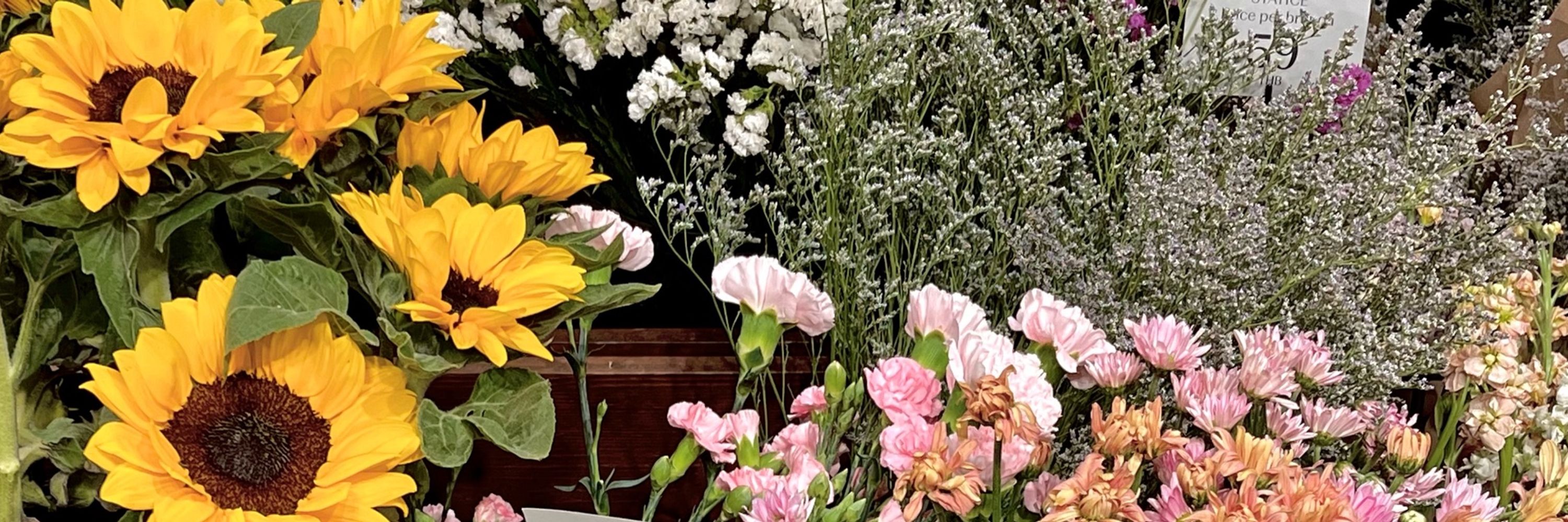 夏です🌻