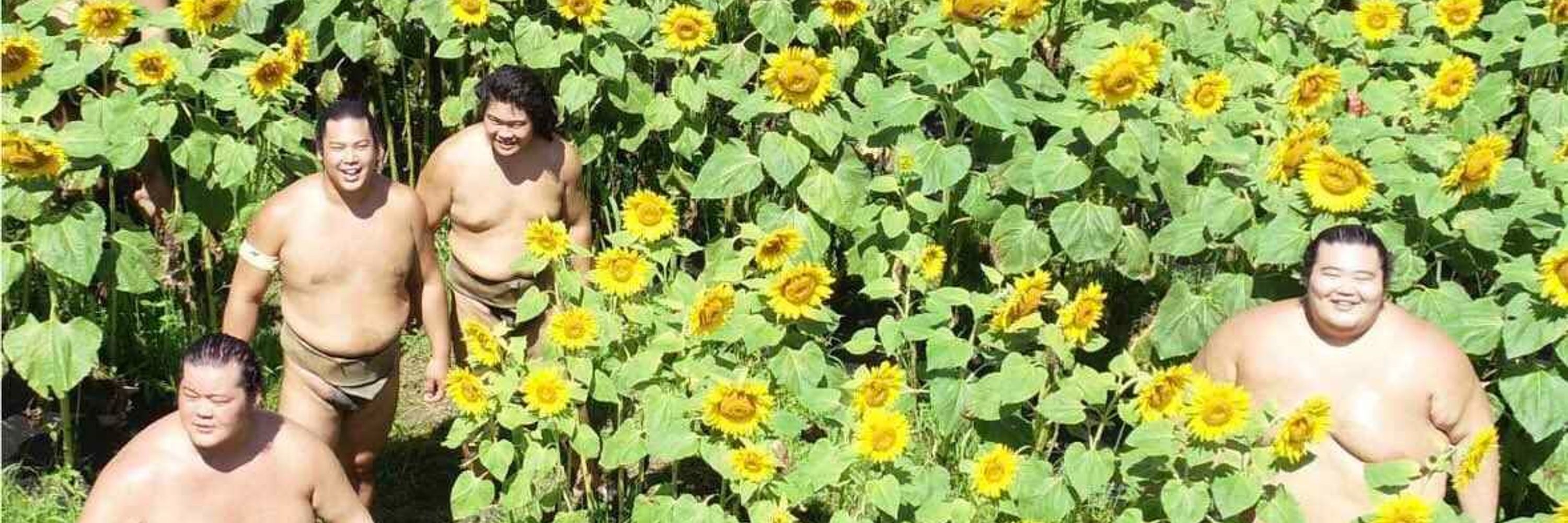 The Bushna