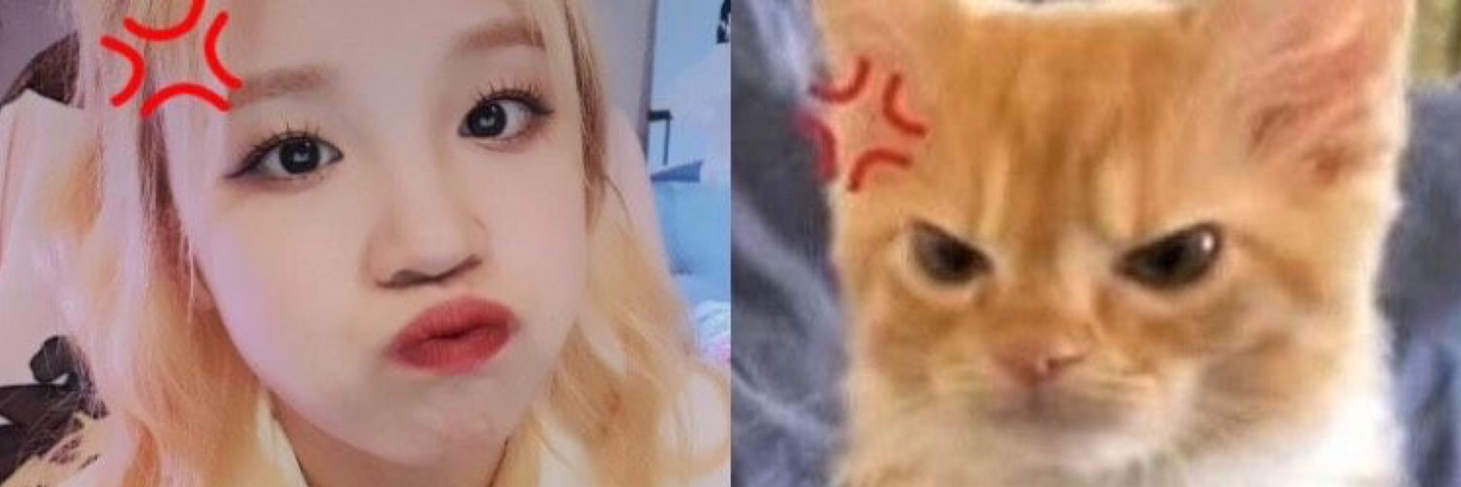  Bella 𖥔 ݁ ˖