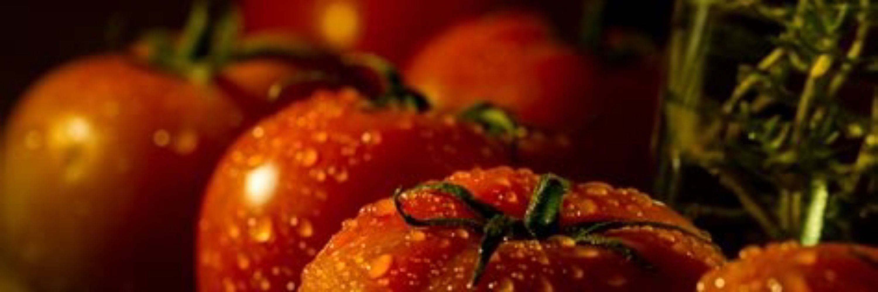 🍅 Motzarella