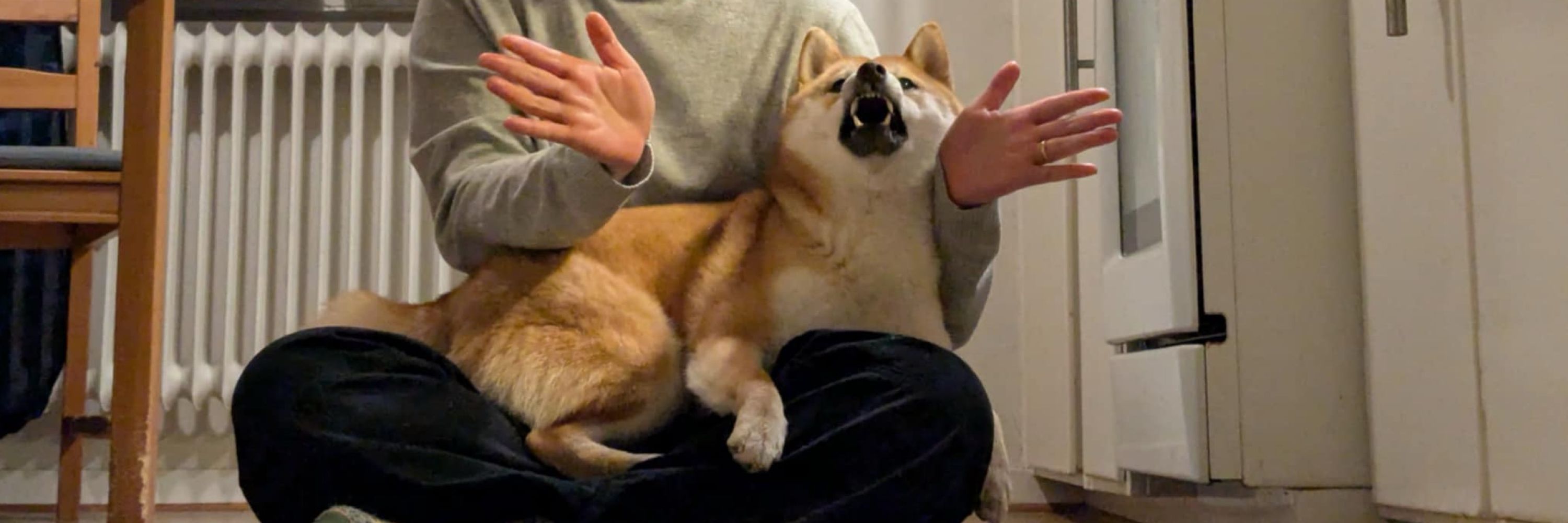 らっとさん