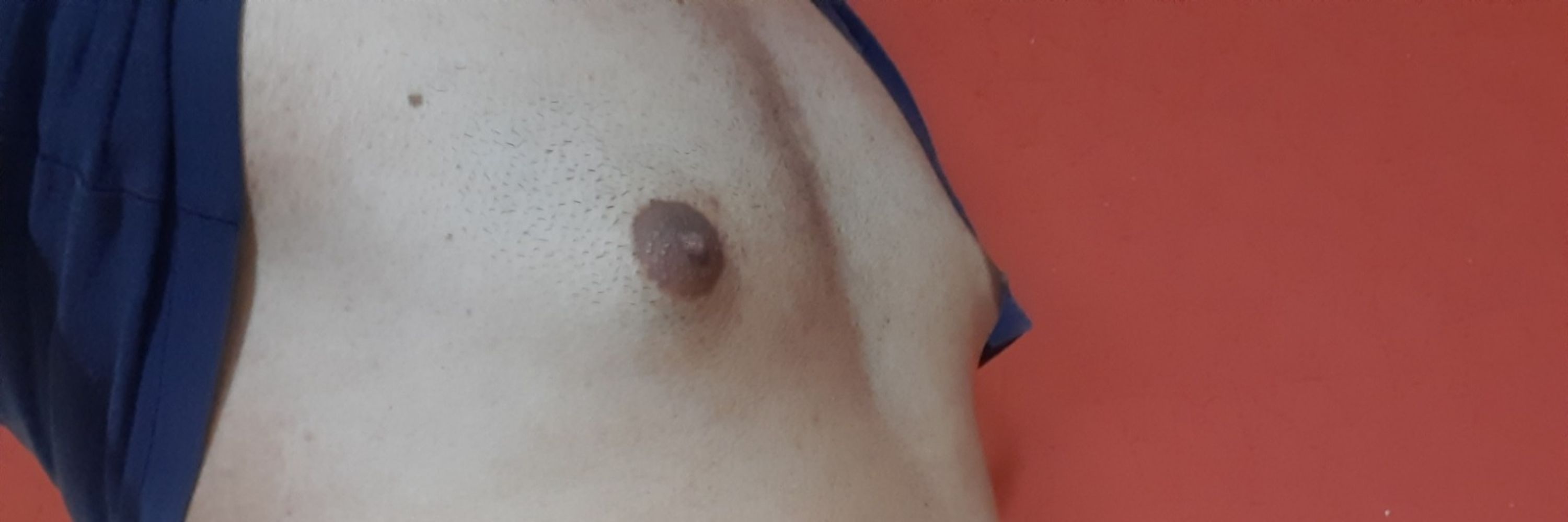 Barcellinhos24