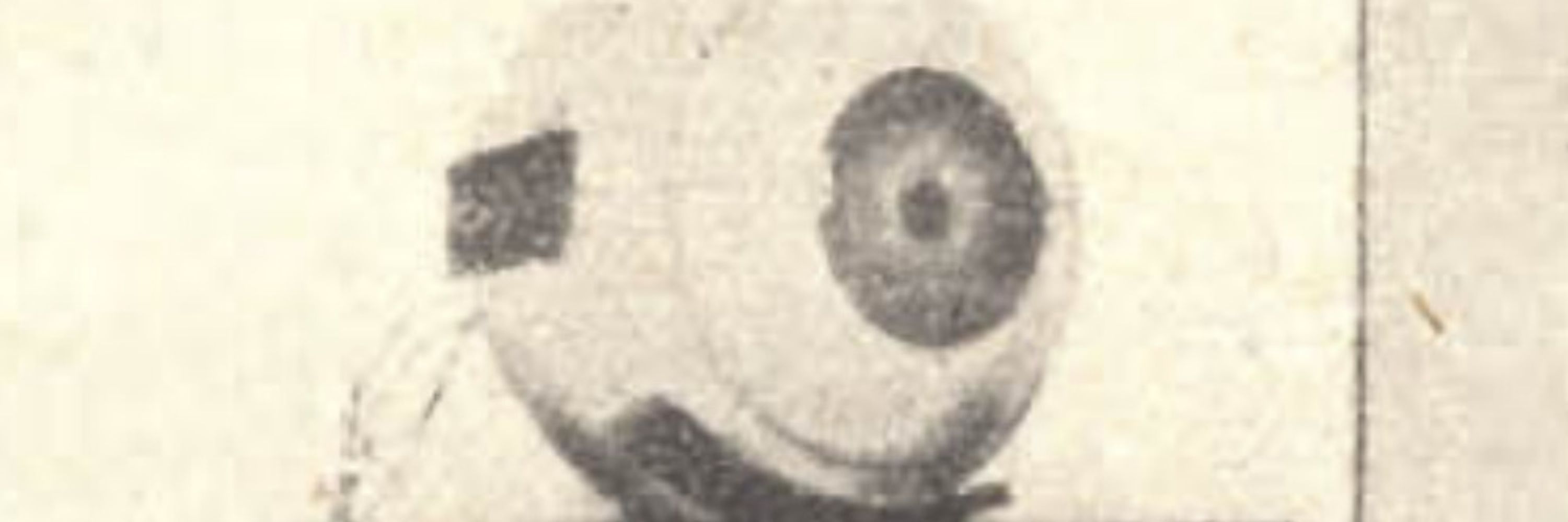 Erratum Press