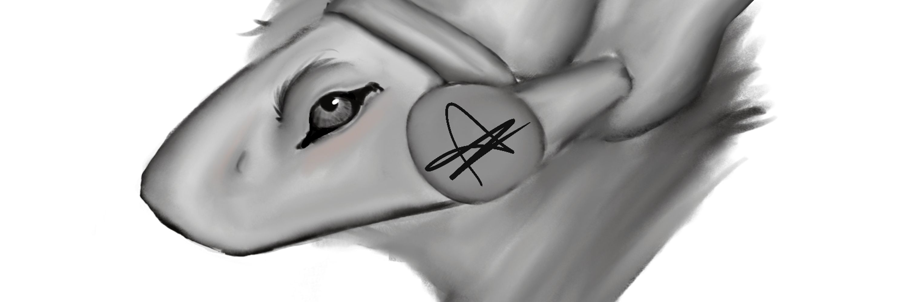 AethyDarling