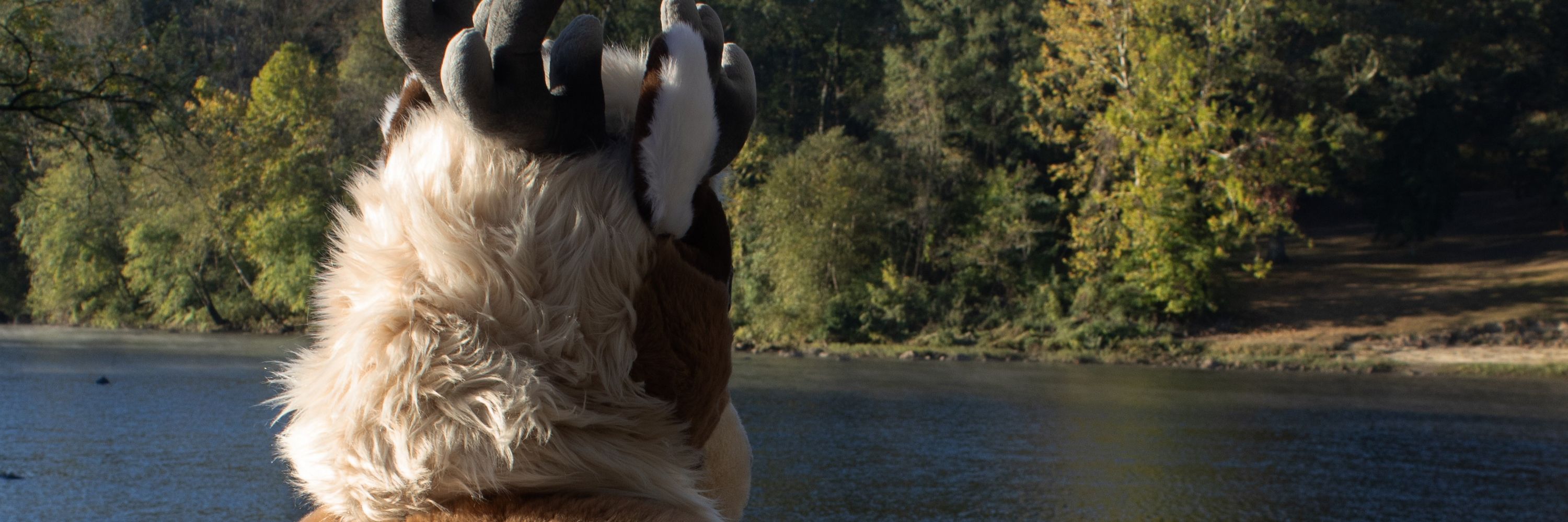 Chris Snowhoof🔜 Denfur