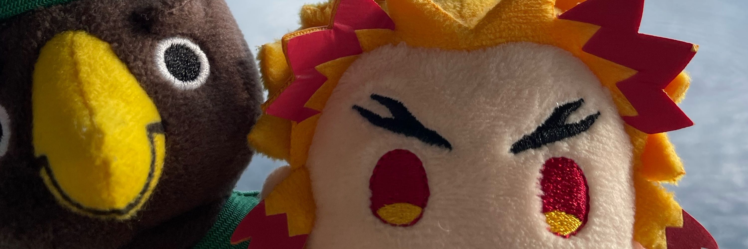 ごっちっち