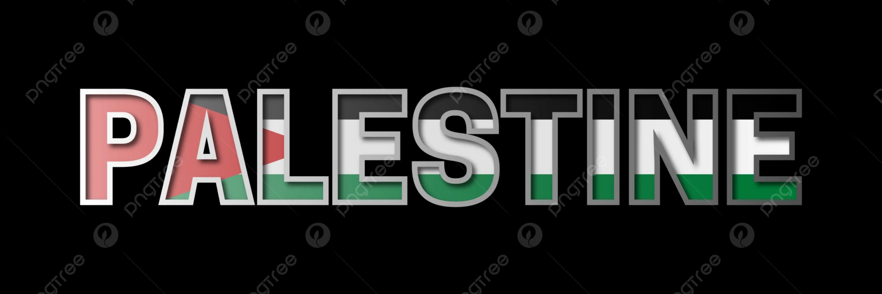  صدام مہمند نعمانی