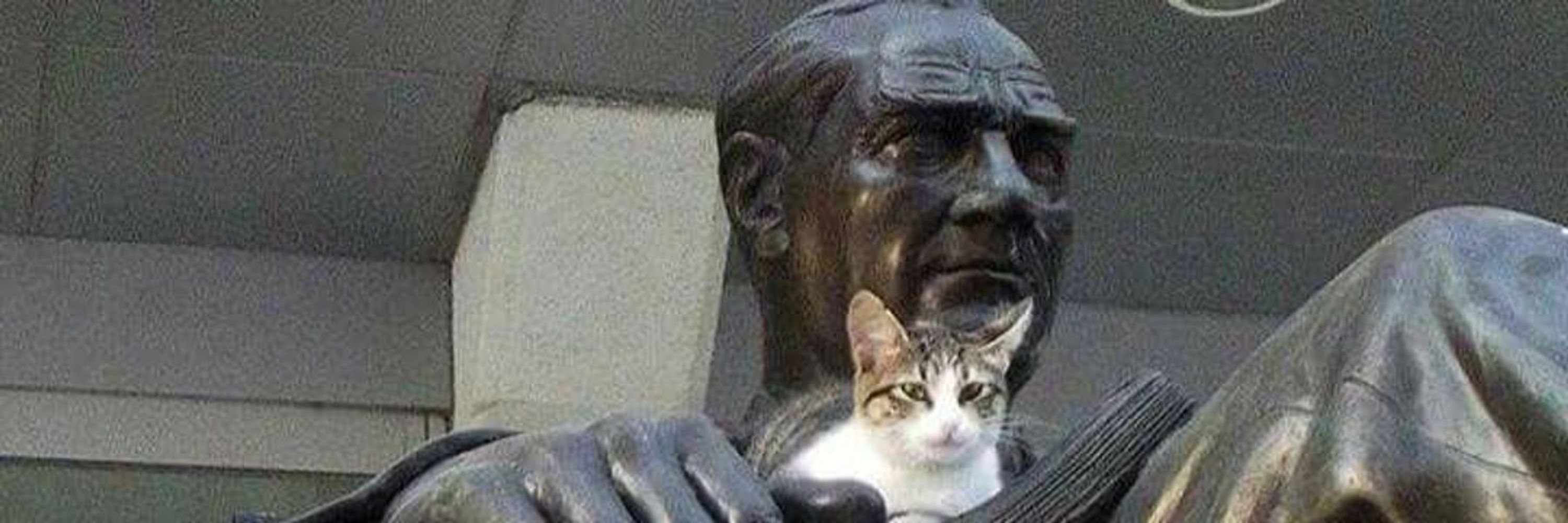 Aşkın