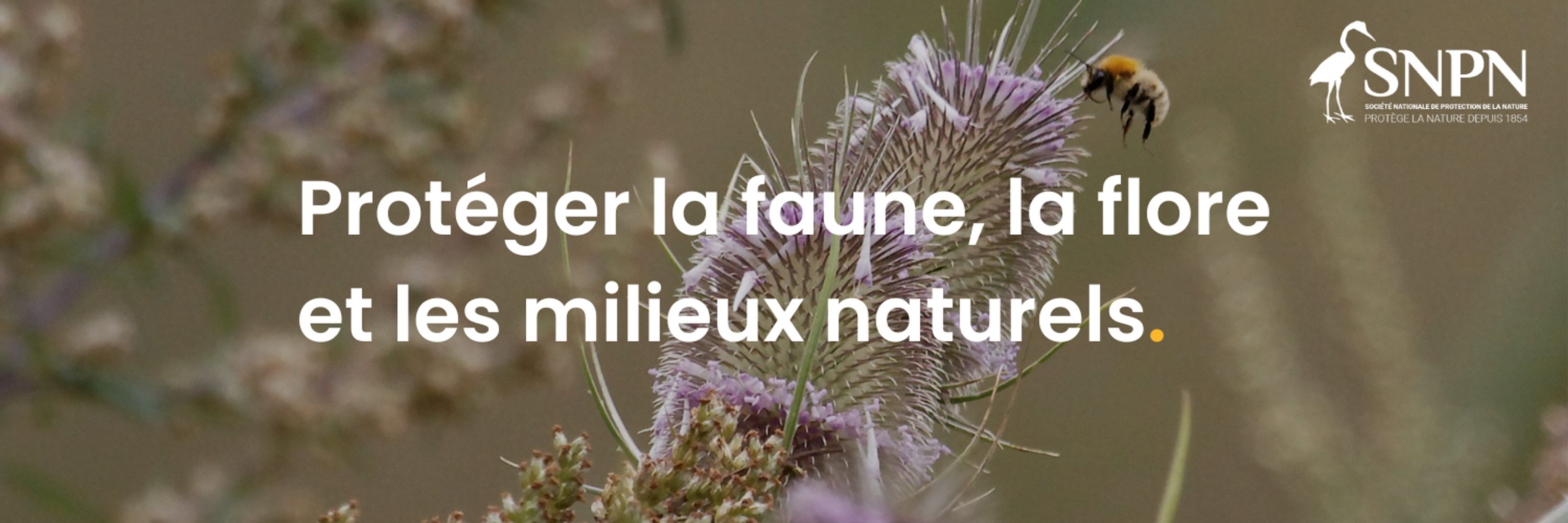 Société Nationale de Protection de la Nature
