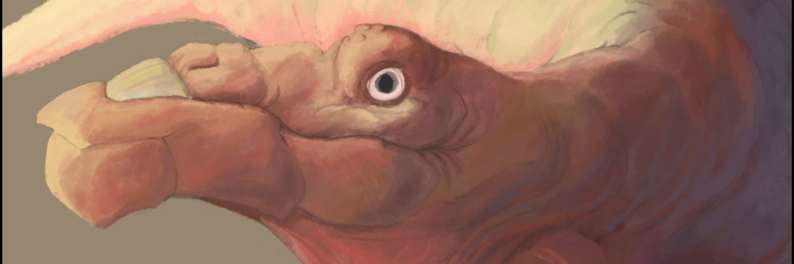 Big Nosed Creature