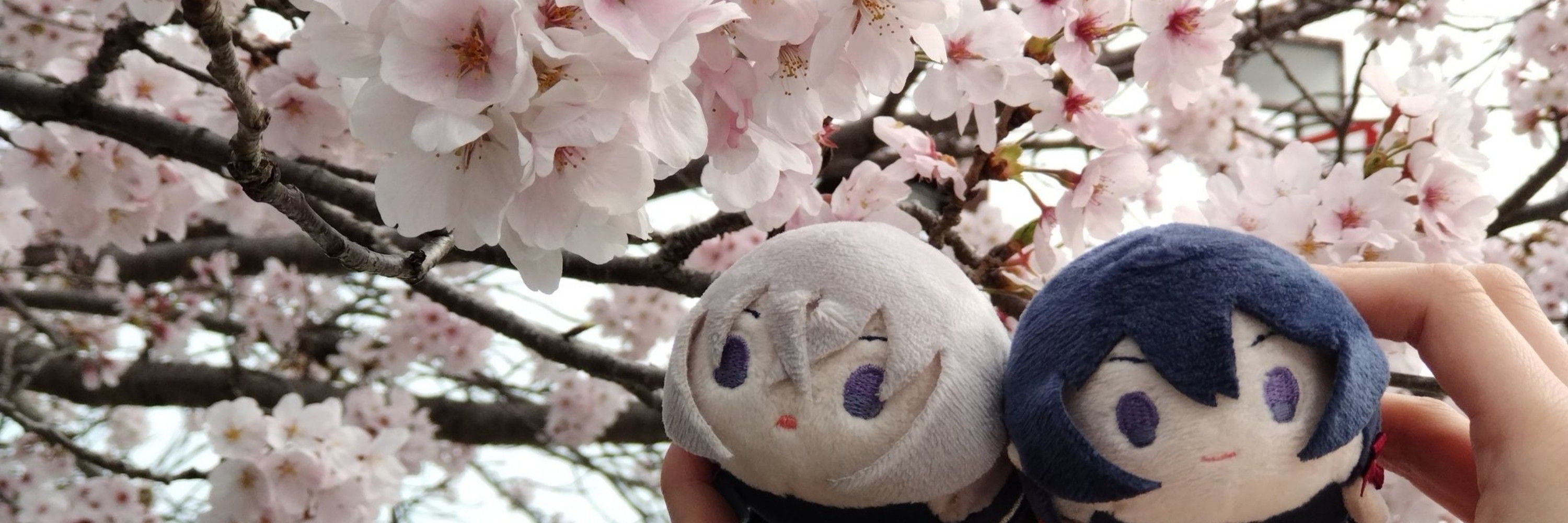 ちゃ