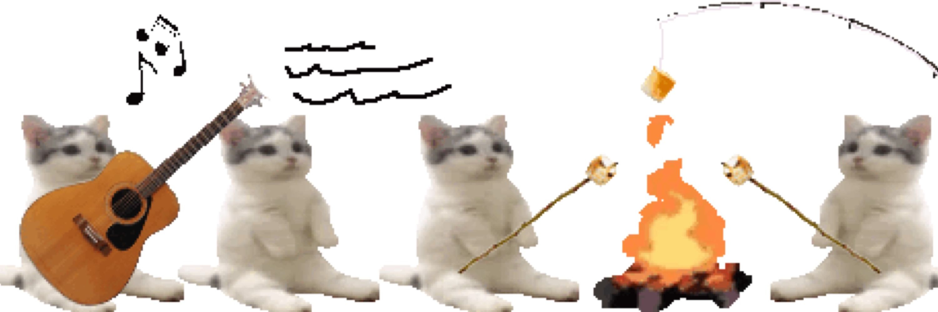 Purrtner