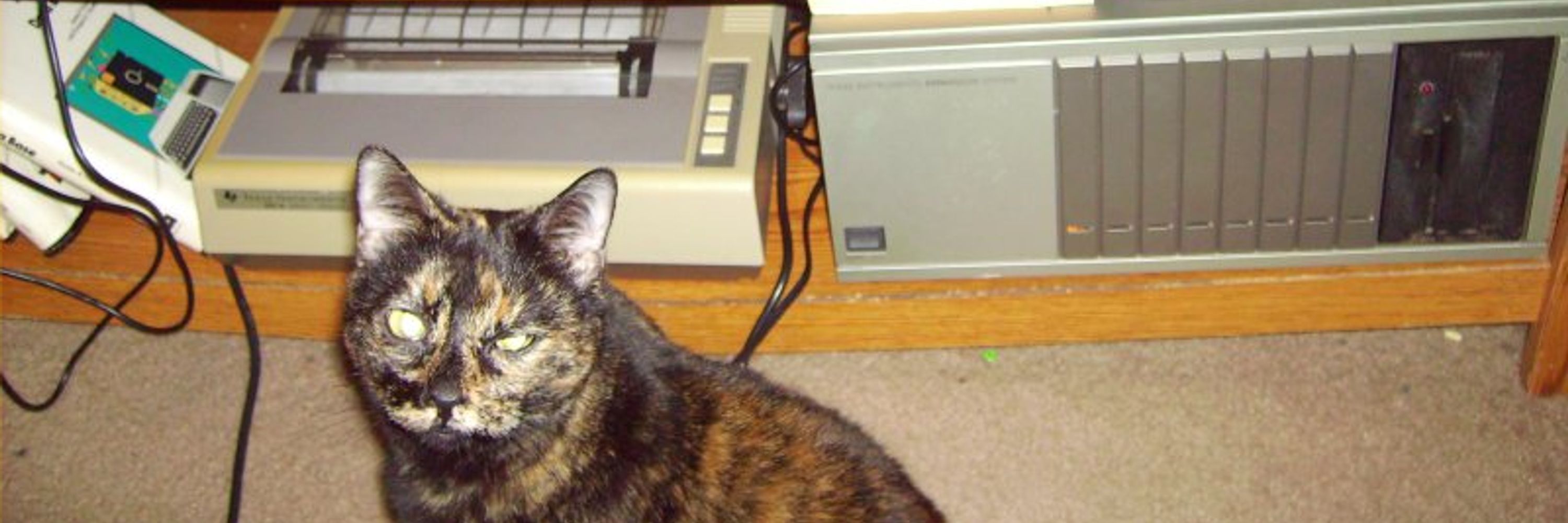 TI99Kitty