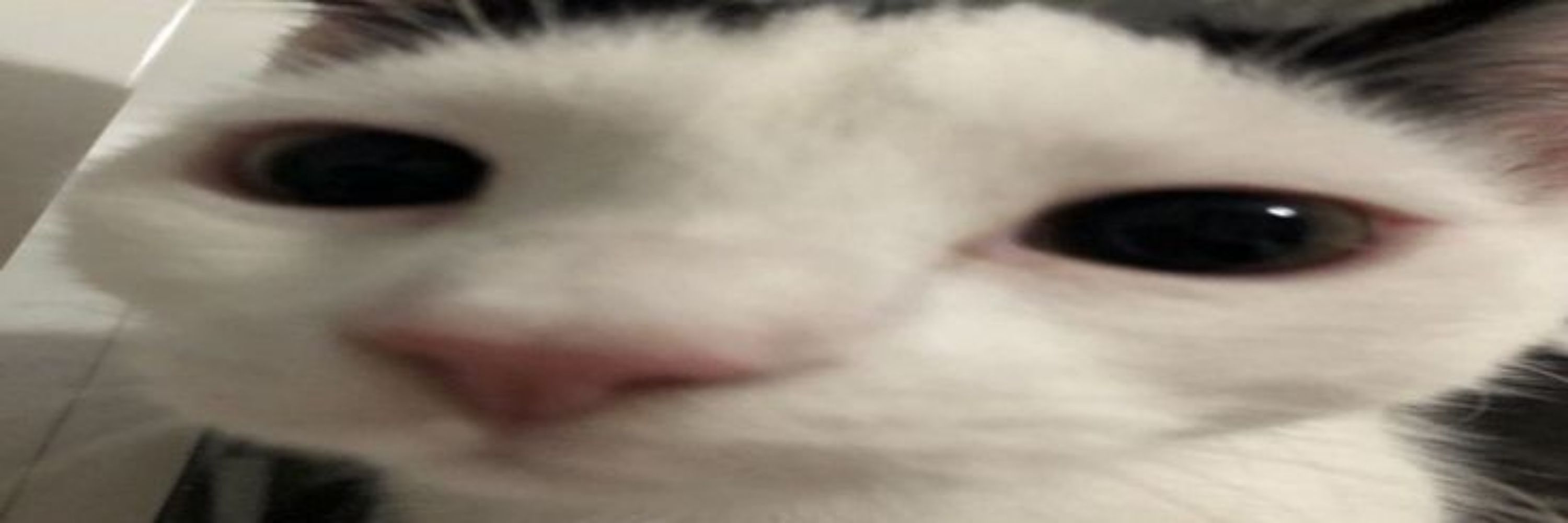 Aki!