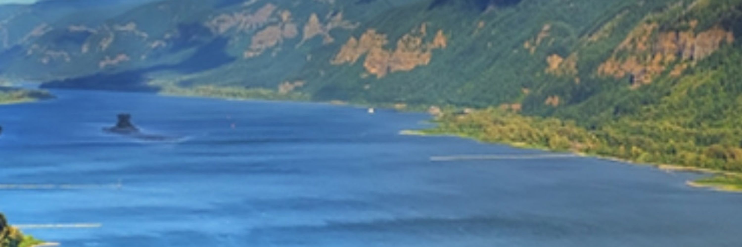 Cascadia Climate Action Now