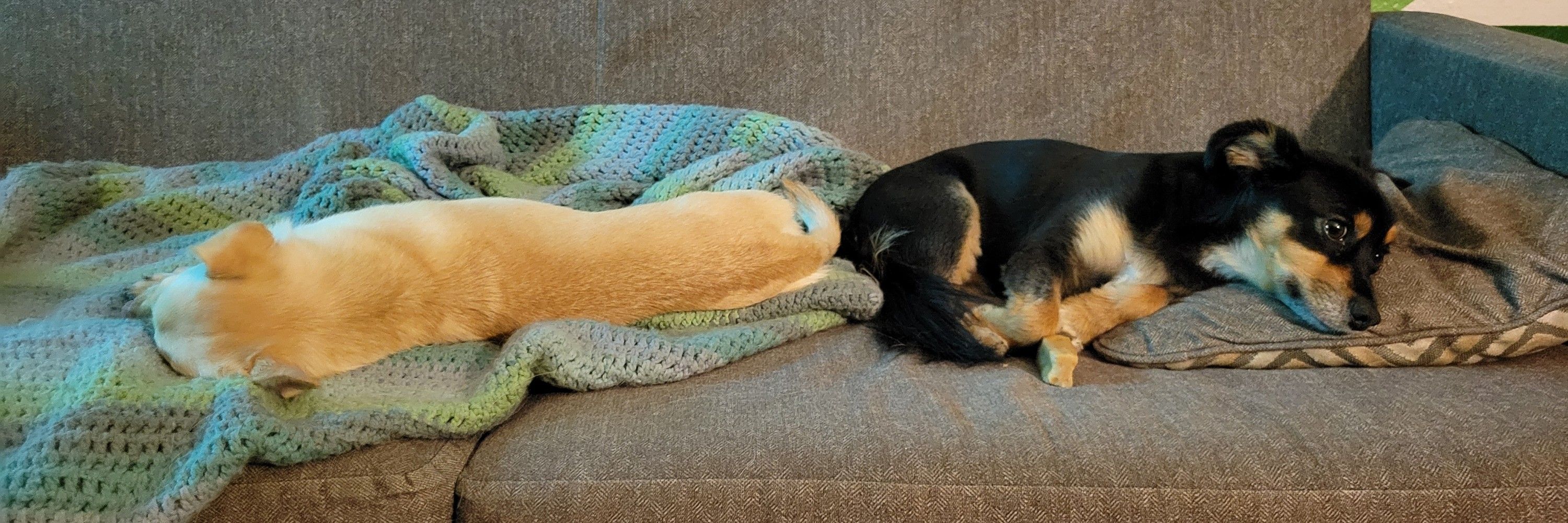 Skye