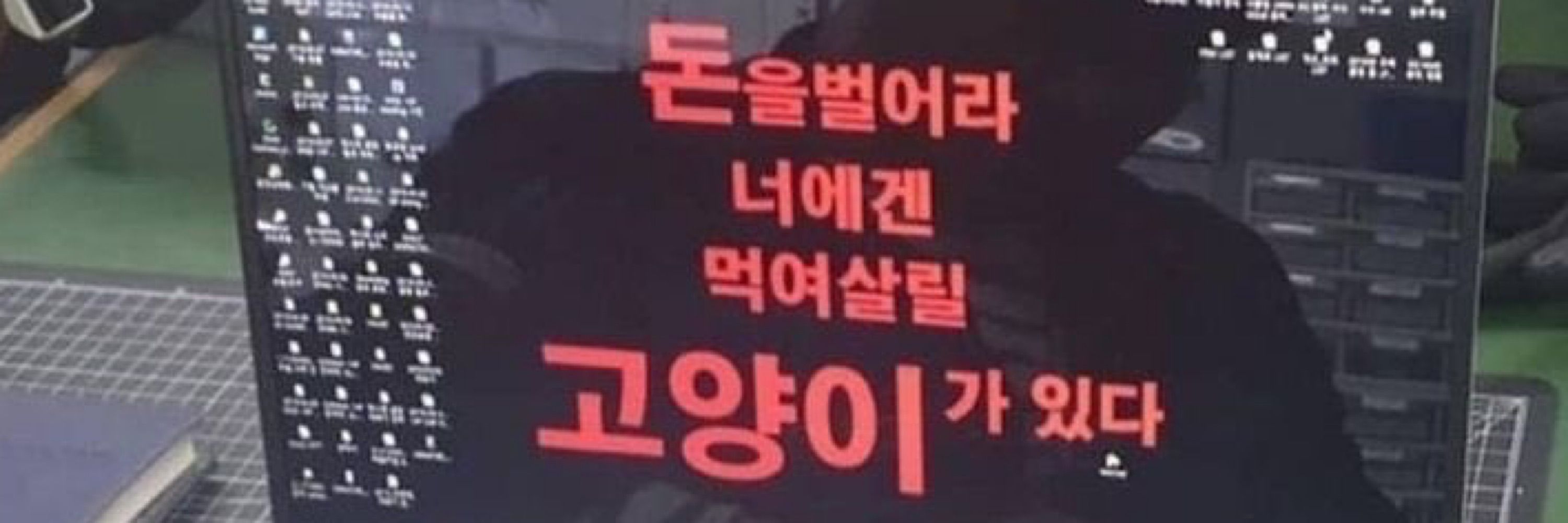 새벽