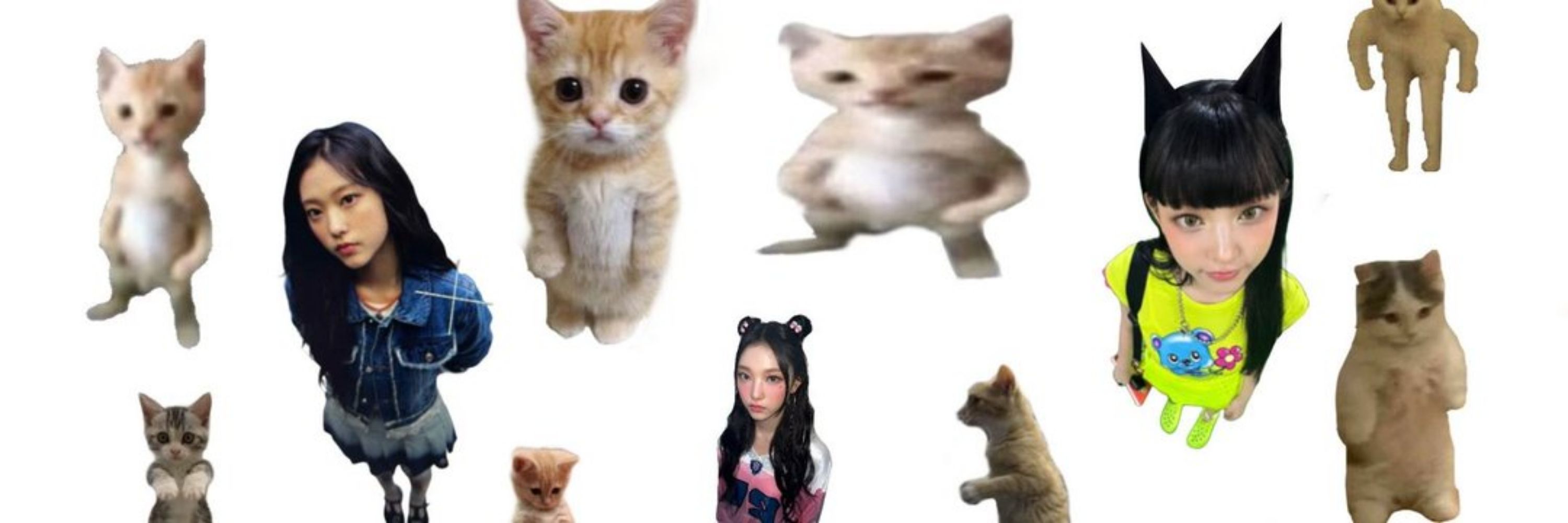 Helô🪩