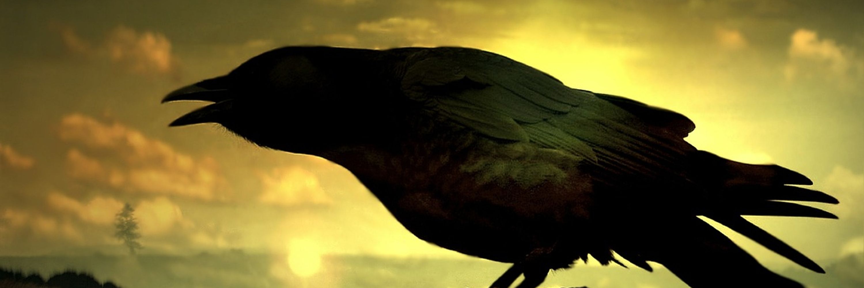 ravencalling
